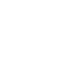 visiblity icon